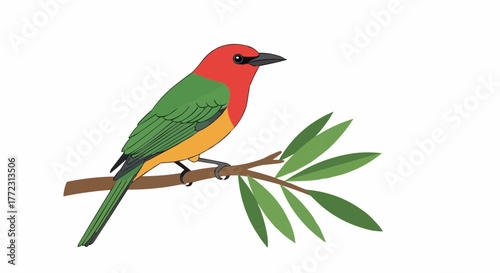 Colorful bird with red head and green wings perches on a branch with green leaves in a simple drawing