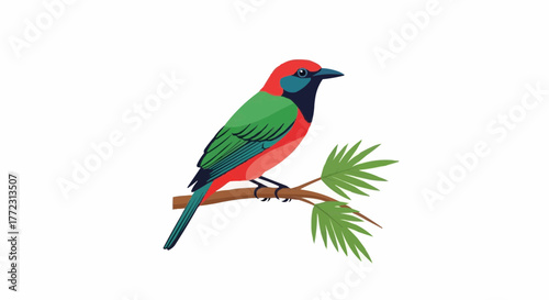 Illustration of a colorful bird with red head and green wings perched on a branch with leaves