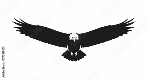 Black and white silhouette of an eagle with outstretched wings flying against a white background view from front