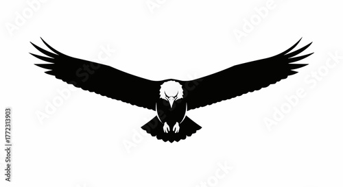 Black silhouette of an eagle with its wings spread wide against a white background image is shown