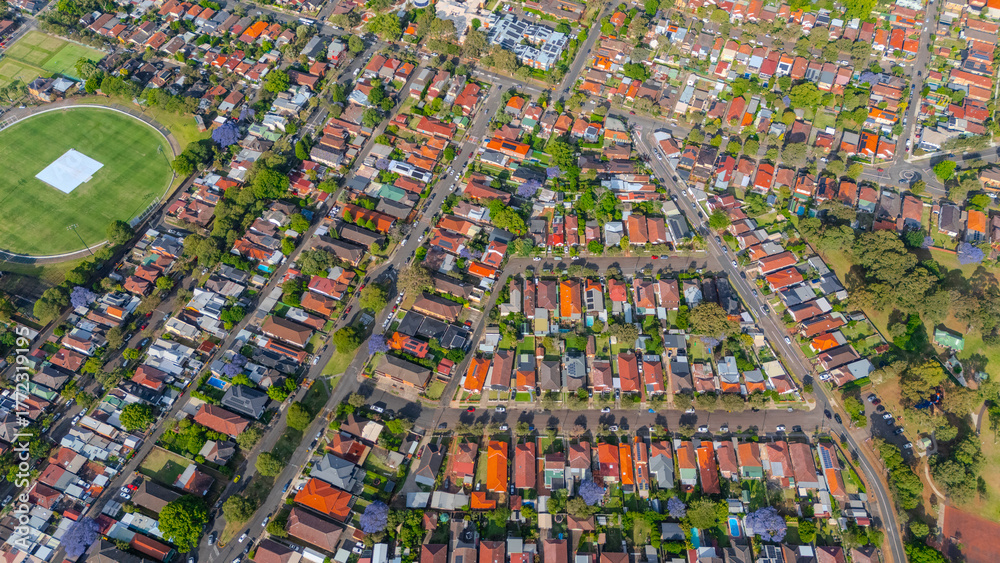 Fototapeta premium Panorama aerial drone view of western Sydney Suburbs of Canterbury Burwood Ashfield Marrickville Campsie with Houses roads and parks in Sydney New South Wales NSW Australia