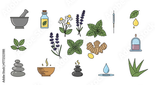 Collection of Herbal Medicine and Wellness Elements Illustration