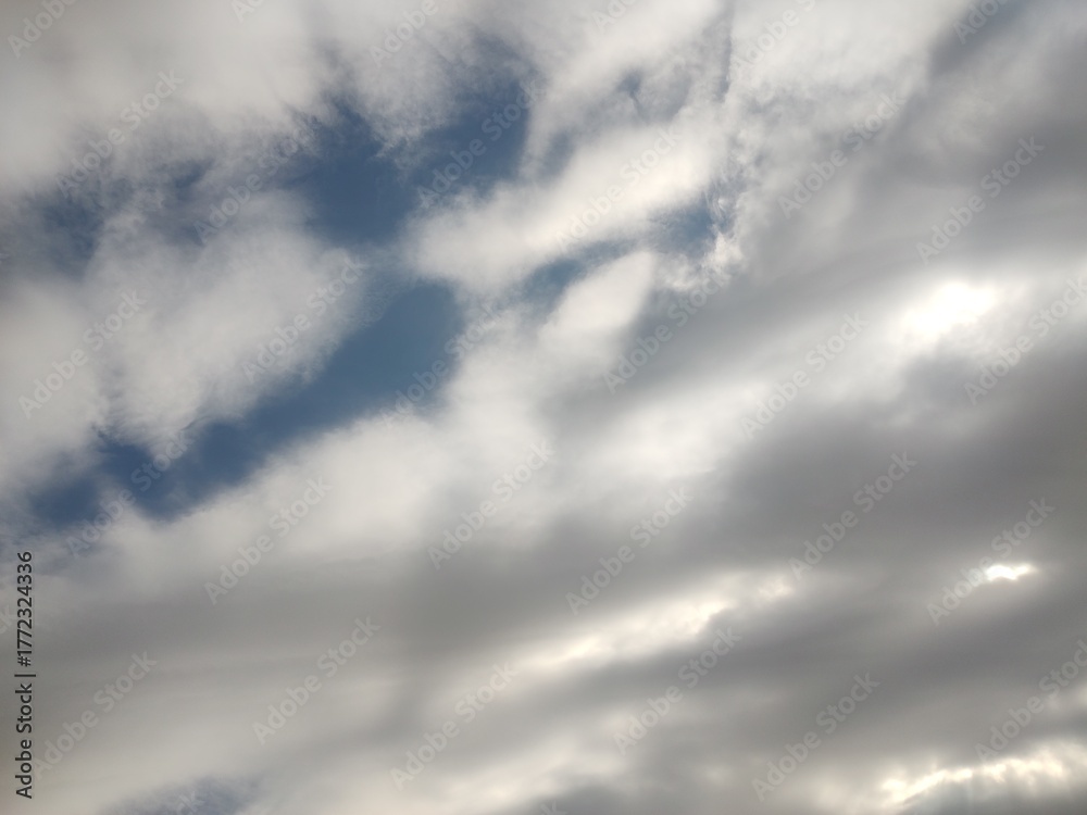 Fototapeta premium 東京の空(25.10.30)