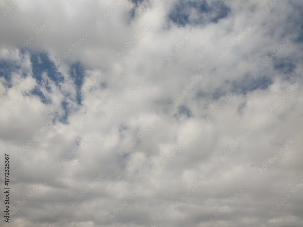 Obraz premium 東京の空(25.10.30)