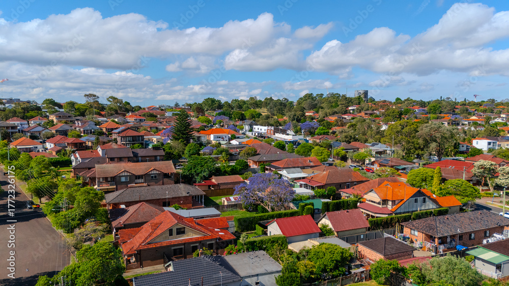 Fototapeta premium Panorama aerial drone view of western Sydney Suburbs of Canterbury Burwood Ashfield Marrickville Campsie with Houses roads and parks in Sydney New South Wales NSW Australia