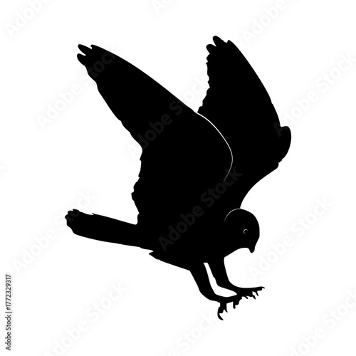 Dynamic Bird Silhouette in Flight.
Graceful Raptor Landing: Minimalist Vector.
Black Hawk Silhouette with Open Wings.
Isolated Image of a Bird of Prey.
