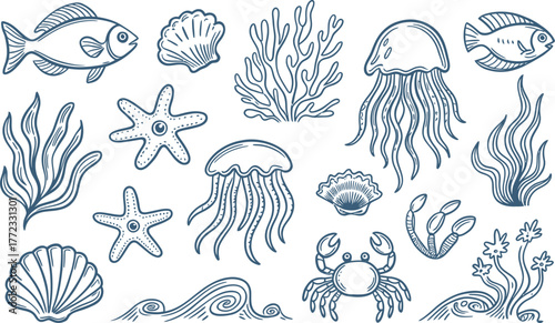 Blue line drawing of marine life and seaweed on white background