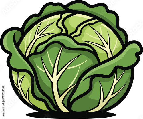 Fresh Green Cabbage Vegetable Healthy Food Isolated On White Background Cartoon Style Illustration