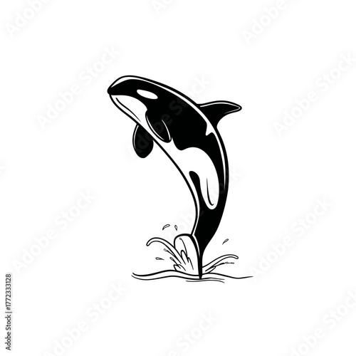 Dynamic black and white illustration of an orca (killer whale) breaching from water with a splash. Powerful marine mammal graphic.