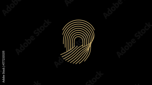 Elegant golden abstract design with flowing curved lines on a black background. Modern luxury graphic element for branding, art, or decoration.
