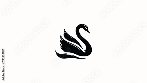 Elegant minimalist black swan illustration, graceful waterfowl graphic design on a clean white background, digital art concept