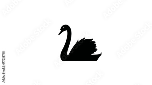 Elegant Black Swan Silhouette Illustration - Minimalist Waterfowl Bird Design Element Isolated on a Clean White Background