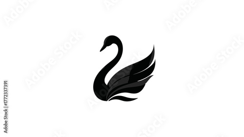 Graceful black swan vector logo, elegant minimalistic bird icon illustration, nature wildlife symbol on white background