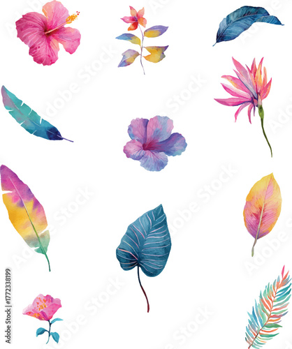 set of colorful flowers