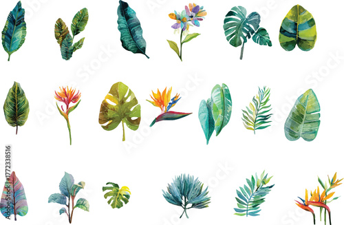 set of colorful leaves