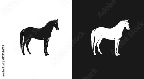 Two contrasting horse silhouettes, one black on white and one white on black, in a minimalist design.