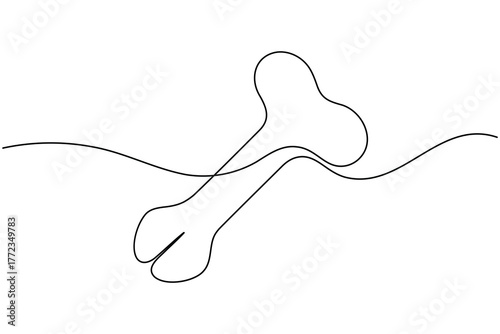 Human reproductive organ penis continuous one line drawing on white background minimalist anatomy organ outline vector illustration
