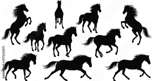 Horse silhouette vector, galloping horse illustration, black horse motion, equine movement art, dynamic animal pose, cad drawing flat vector illustration