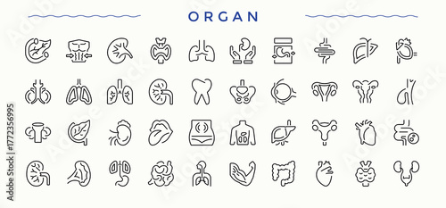 Organic icon set in linear style. Outline icons collection. Related to healthy, eco, herbal, eco-friendly, nature. Vector artwork and illustration. Natural simple icon set.