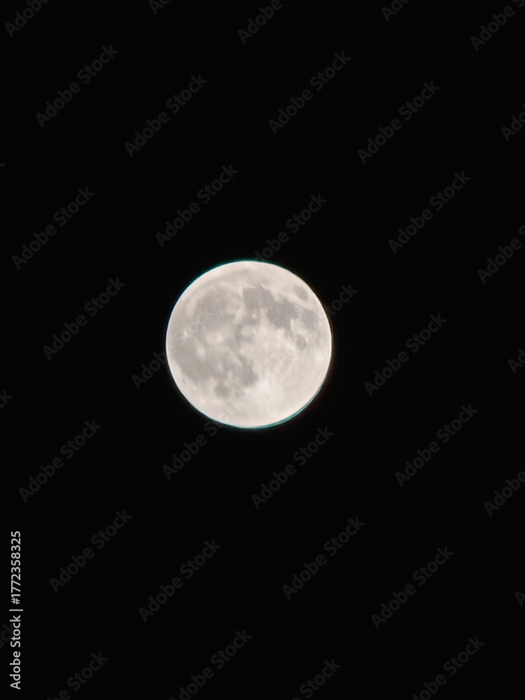 Obraz premium full moon in the night