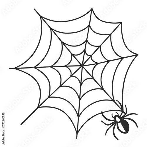 Black outline of a spider and its web spiderweb insect