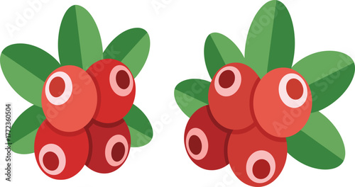 Fresh cranberries with vibrant green leaves for festive holiday baking and healthy eating ideas