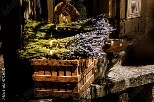 lavender in a shop