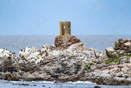 Coastal landscape Bettys Bay, rocky shore and Atlantic Ocean, South Africa.