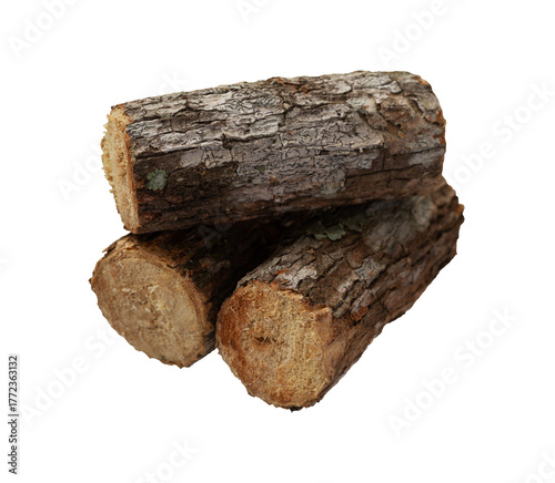stack of firewood nature isolated