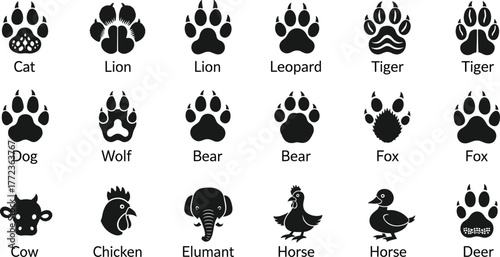 Animal paw print and silhouette chart vector, wildlife and pet track icons, black design grid for nature, education, hiking, zoology, reference