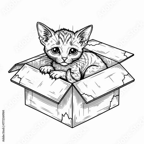 A line art drawing of a small kitten in a cardboard box. Hand-drawn sketch for pet adoption and animal shelter concepts. Monochrome graphic of a homeless cat