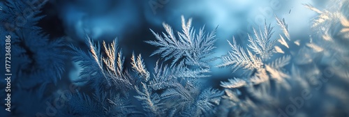 A close up of a branch covered in frost