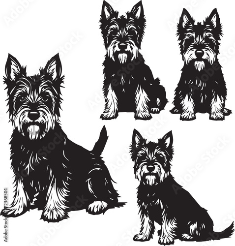 Schnauzer dog silhouette set — black and white illustration of seated dogs with detailed fur, beard, and expressive posture