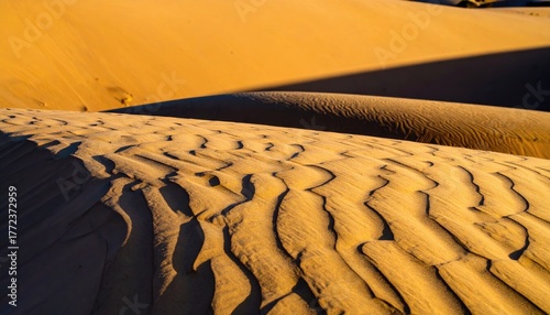 Fototapeta Naklejka Na Ścianę i Meble -  Beige Sand Dune Texture with Long Shadows