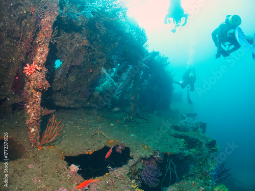 Wreck covered colorful soft coral