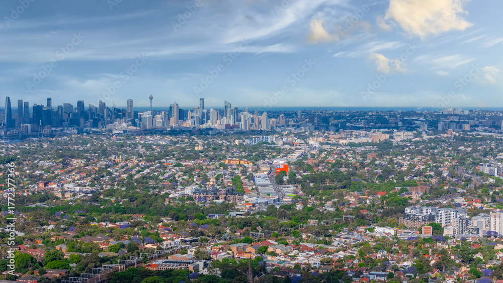 Fototapeta premium Panorama aerial drone view of western Sydney Suburbs of Canterbury Burwood Ashfield Marrickville Campsie with Houses roads and parks in Sydney New South Wales NSW Australia