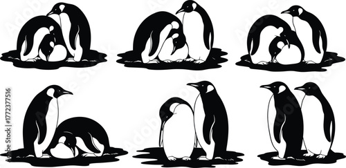 Emperor penguin family illustration, parent penguins caring for chicks, wildlife vector art, black and white animal design, Antarctic bird concept