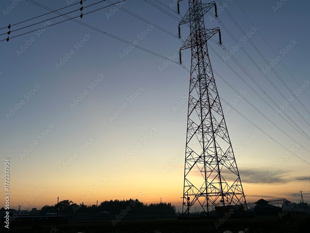 Fototapeta premium power lines at sunset