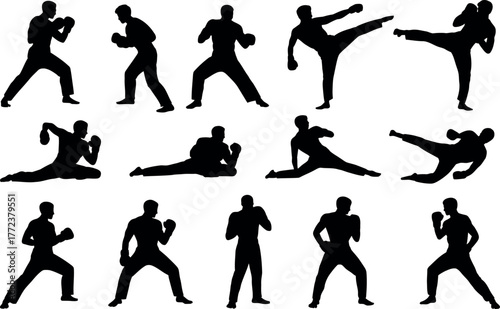 Silhouette of Martial Arts Athletes Demonstrating Fighting Techniques in Various Poses