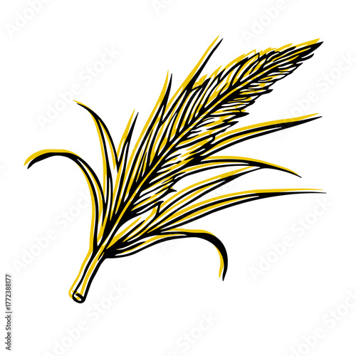 Black and yellow illustration wheat ear or other cereal plant without background