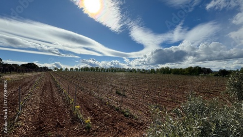 Leon, Viajes y Setas