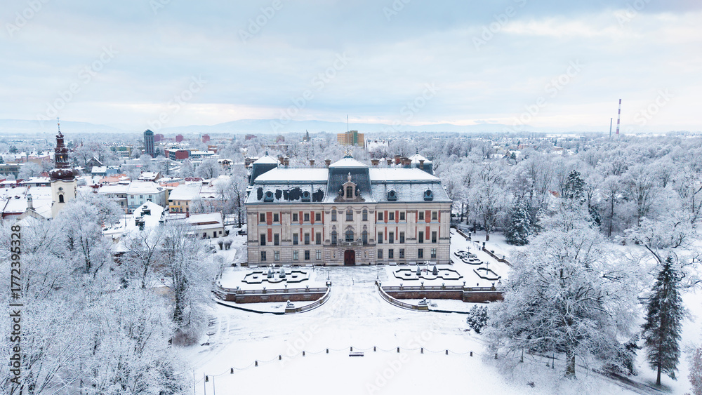 Obraz premium View of Pszczyna town, park and castle during a winter time