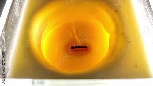 Flame fading and smoke from a decorative scented candle