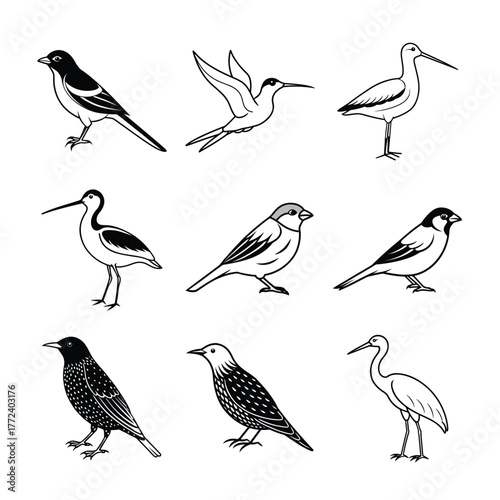 Nine Birds Isolated Vector Illustration Collection Line Art