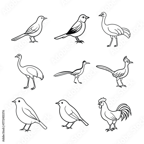 Nine Birds Outline Vector Illustration Collection Line Art Design
