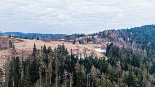 A tranquil winter panorama of Beskid Mały in southern Poland, where snowy meadows meet evergreen forests and rolling mountain hills under a serene, cloud-streaked sky.
