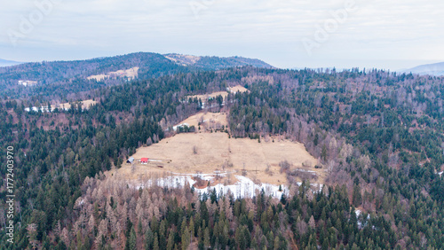 A tranquil winter panorama of Beskid Mały in southern Poland, where snowy meadows meet evergreen forests and rolling mountain hills under a serene, cloud-streaked sky.