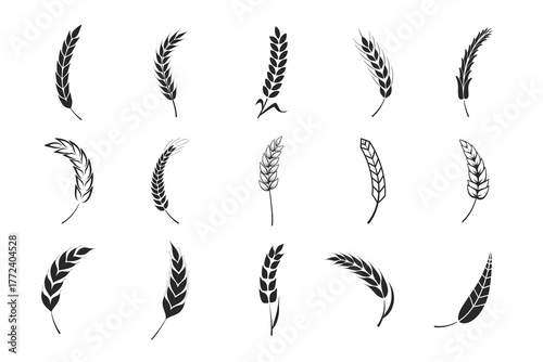 Set of Wheat Ear Silhouettes – Black and White Grain Icons Collection