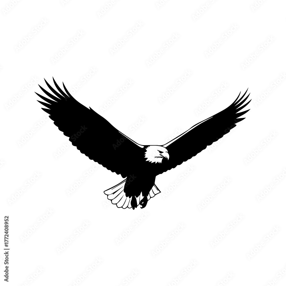 Obraz premium Flying Eagle Silhouette Vector Art