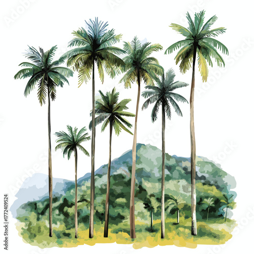 Cocora Valley. Cocora Valley hand drawn watercolor illustration